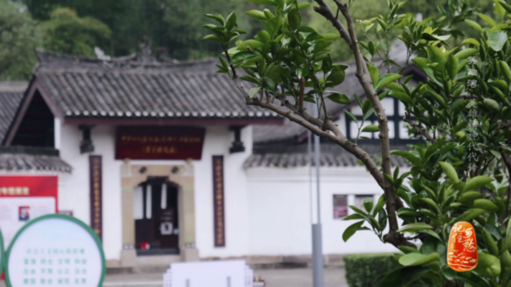 图片6.png